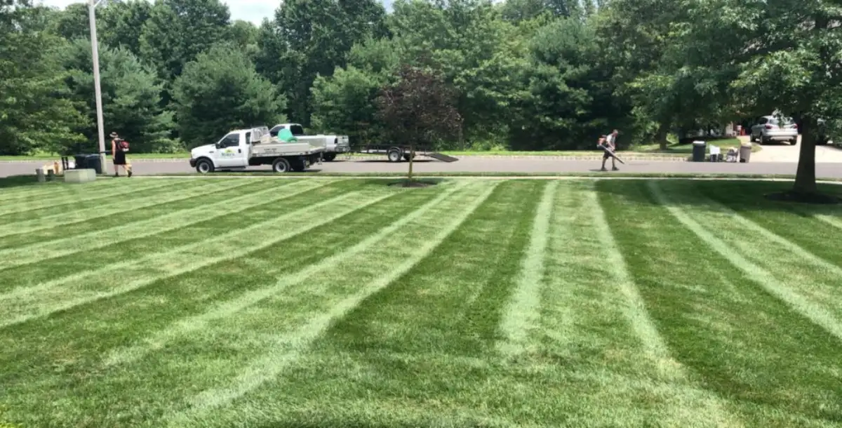 Fresh sod installation for a South Jersey residential lawn
