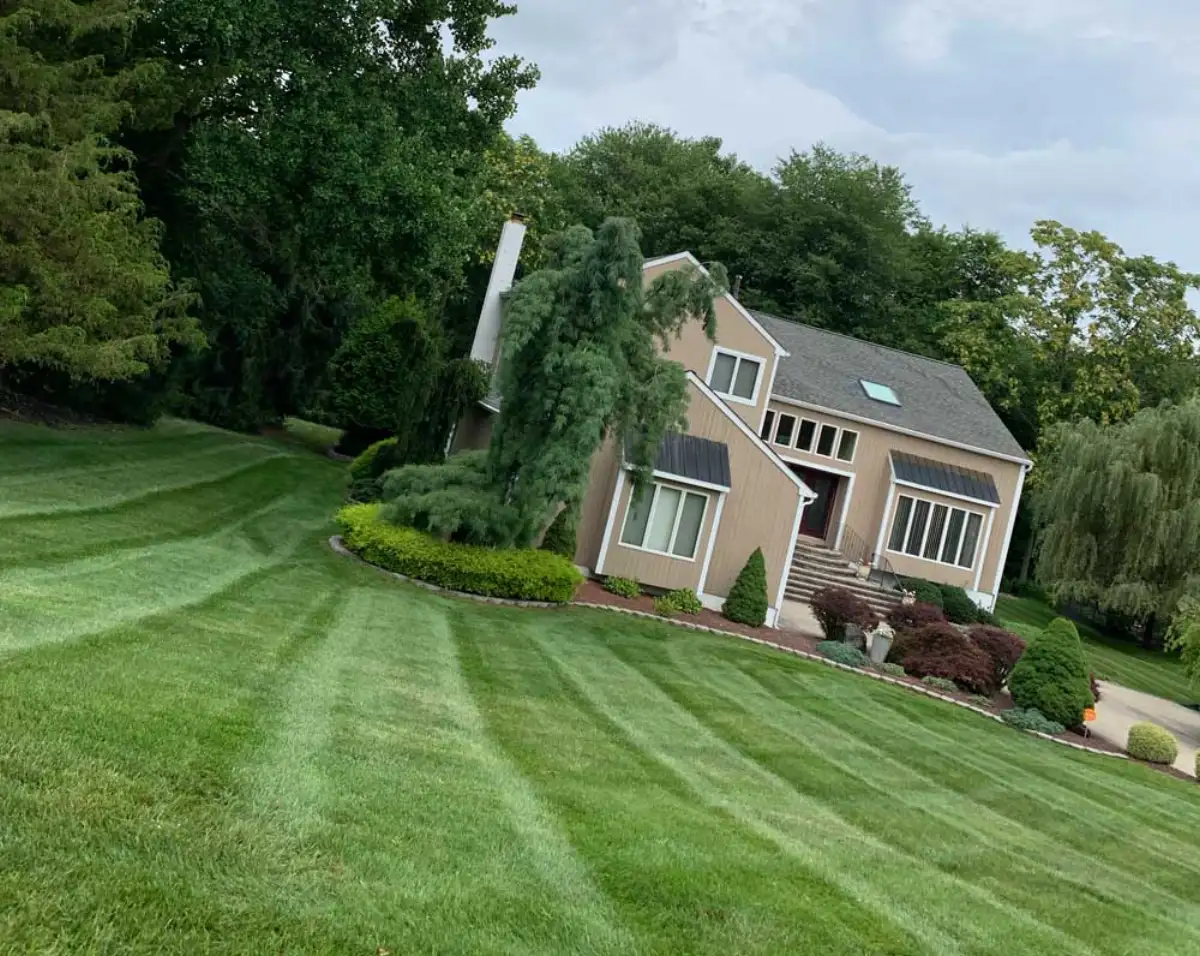 Professional lawn maintenance and mowing service