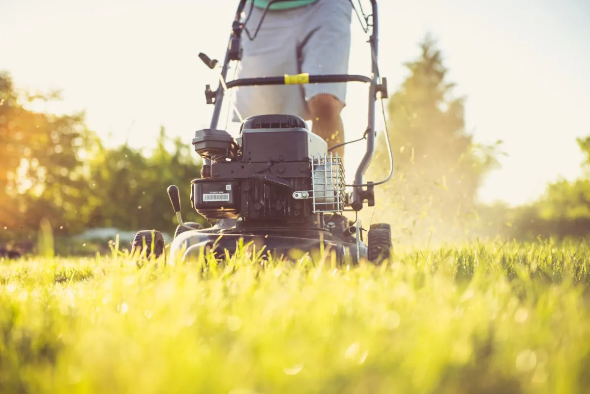 Professional lawn care service in South Jersey