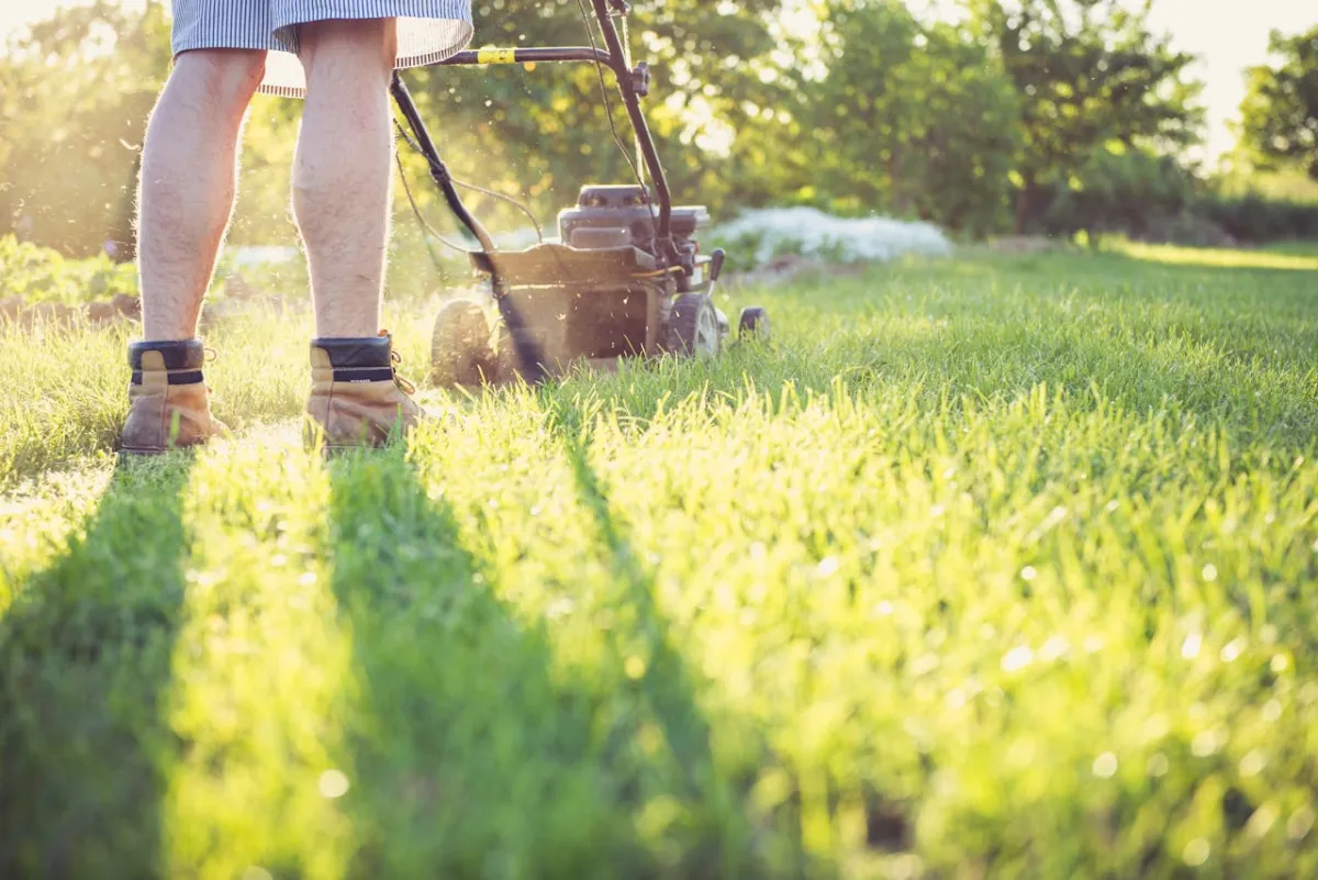 Professional landscape maintenance in South Jersey