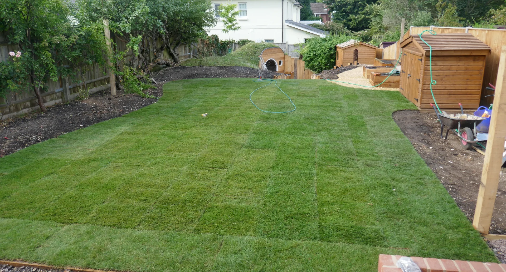Freshly installed sod with visible seam lines on a residential lawn