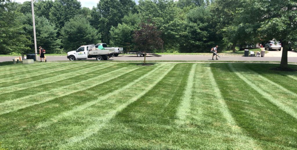 lawn care Glassboro NJ